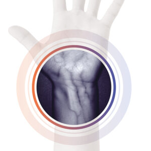 Hand-Vein-Probe-hand